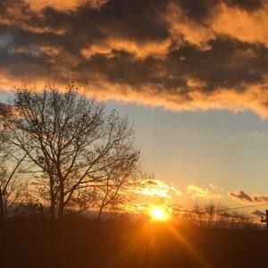 Meet your Posher, Desi-rae